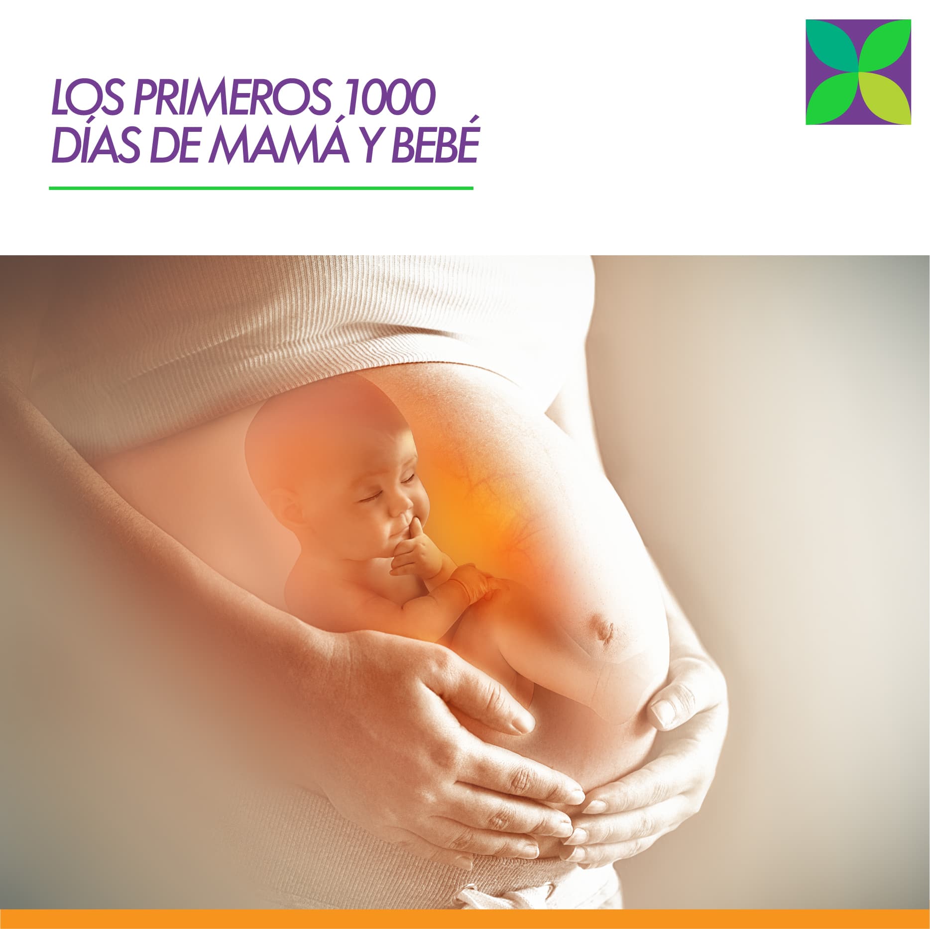 Programa Los Primeros 1000 Días De Mamá Y Bebé