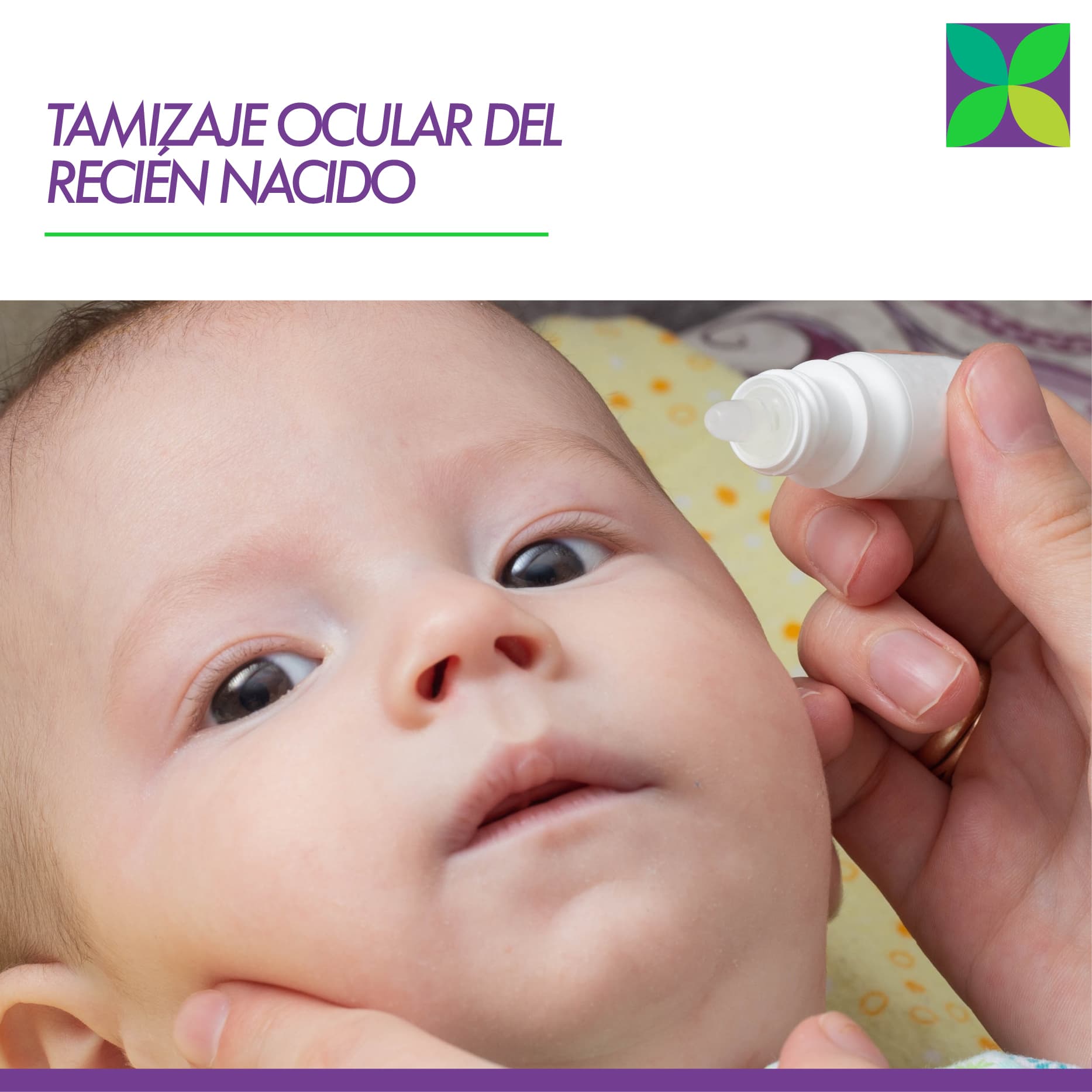 Programa Tamizaje Ocular Del Recién Nacido