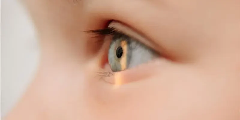 shutterstock_2478967867 Examen oftalmológico